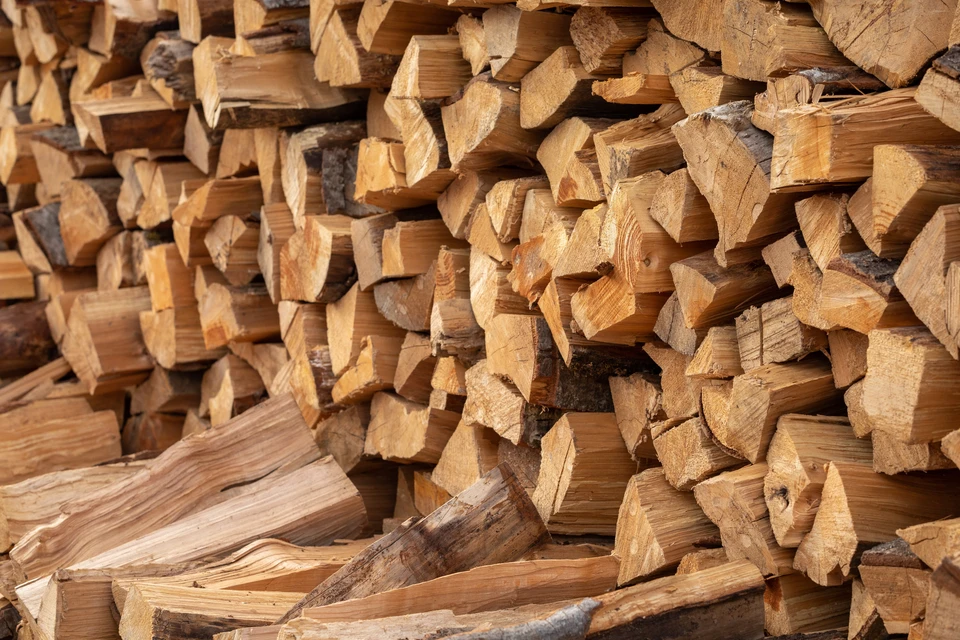 Extérieur, amas de bûches de bois de chauffage soigneusement empilées et stockées