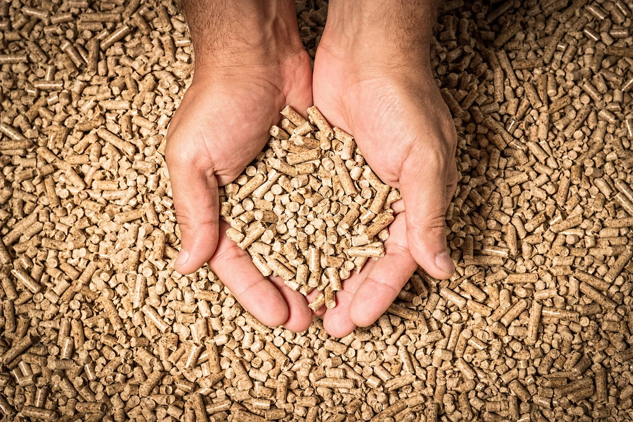 Personne tenant à deux mains des granulés de bois, pellets de biomasse pour chauffage écologique